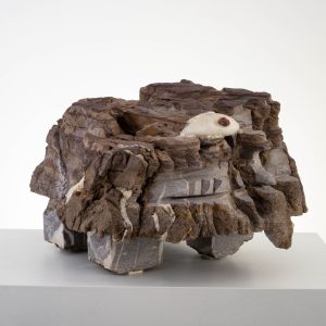 szekely pierre sarkany